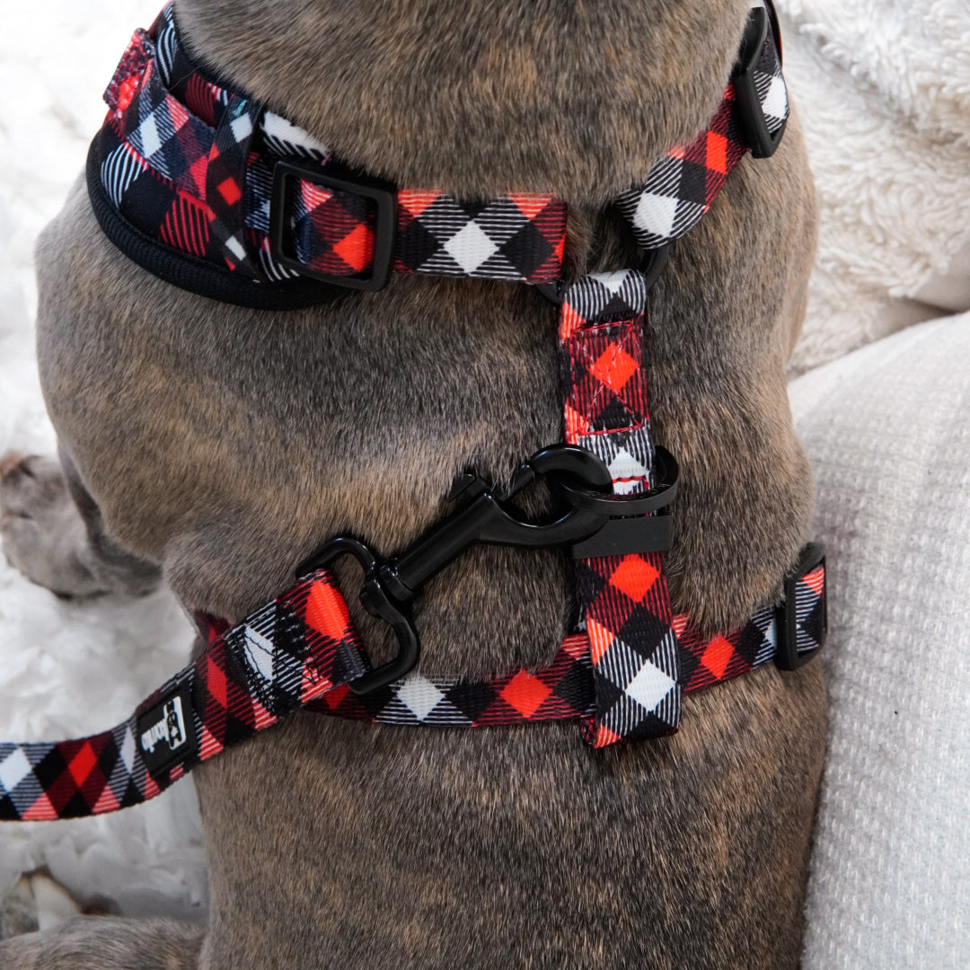 Adjustable Dog Harness - Red Plaid (SECONDS - FINAL SALE)