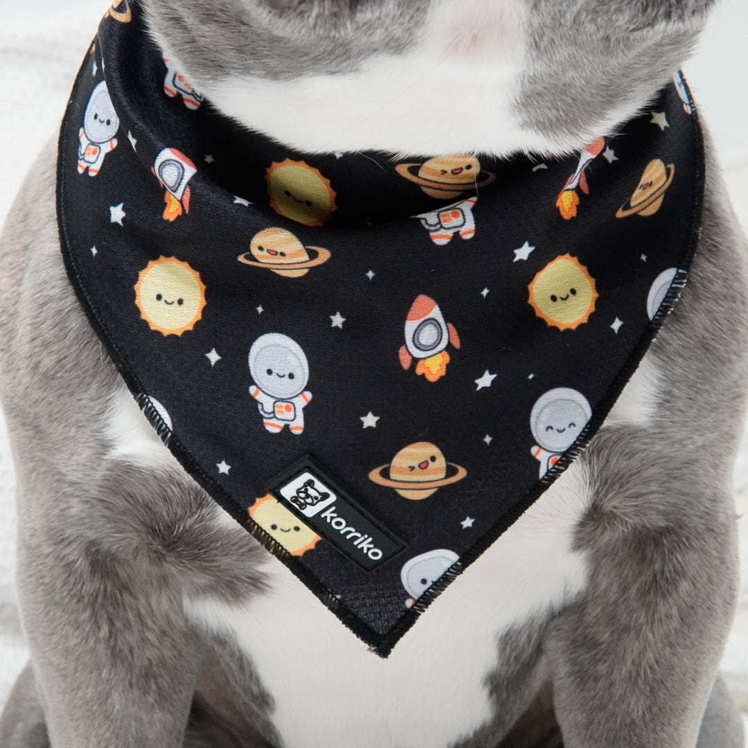 Cooling Dog Bandana - Space Cadet