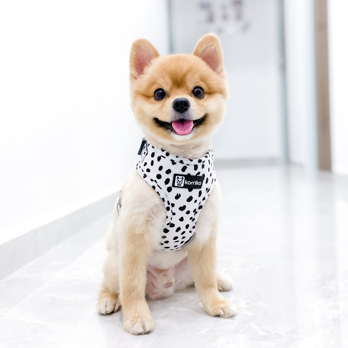 Adjustable Dog Harness - Spotted (SECONDS - FINAL SALE)