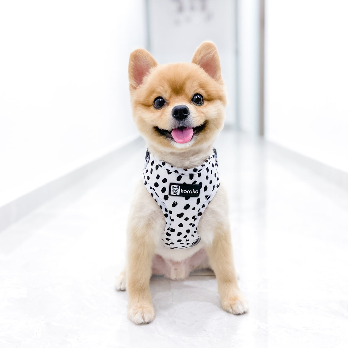 Adjustable Dog Harness - Spotted (SECONDS - FINAL SALE)