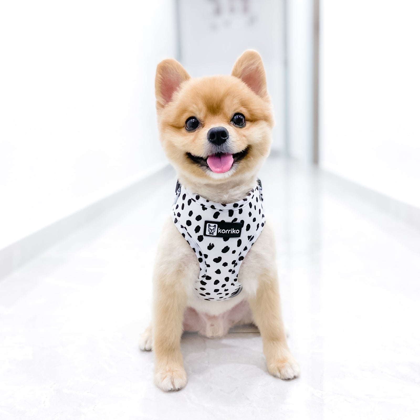 Adjustable Dog Harness - Spotted (SECONDS - FINAL SALE)