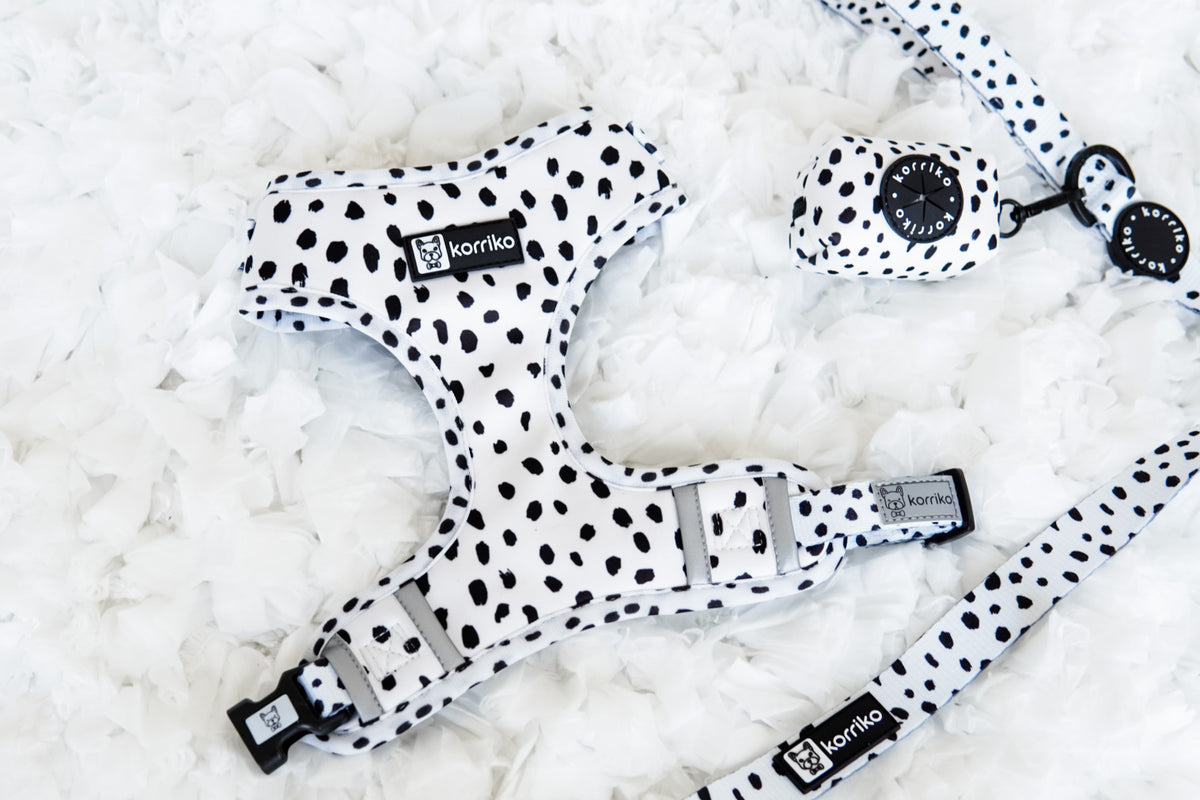 Adjustable Dog Harness - Spotted (SECONDS - FINAL SALE)