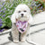 Cooling Dog Bandana - Patisserie (Final Sale)