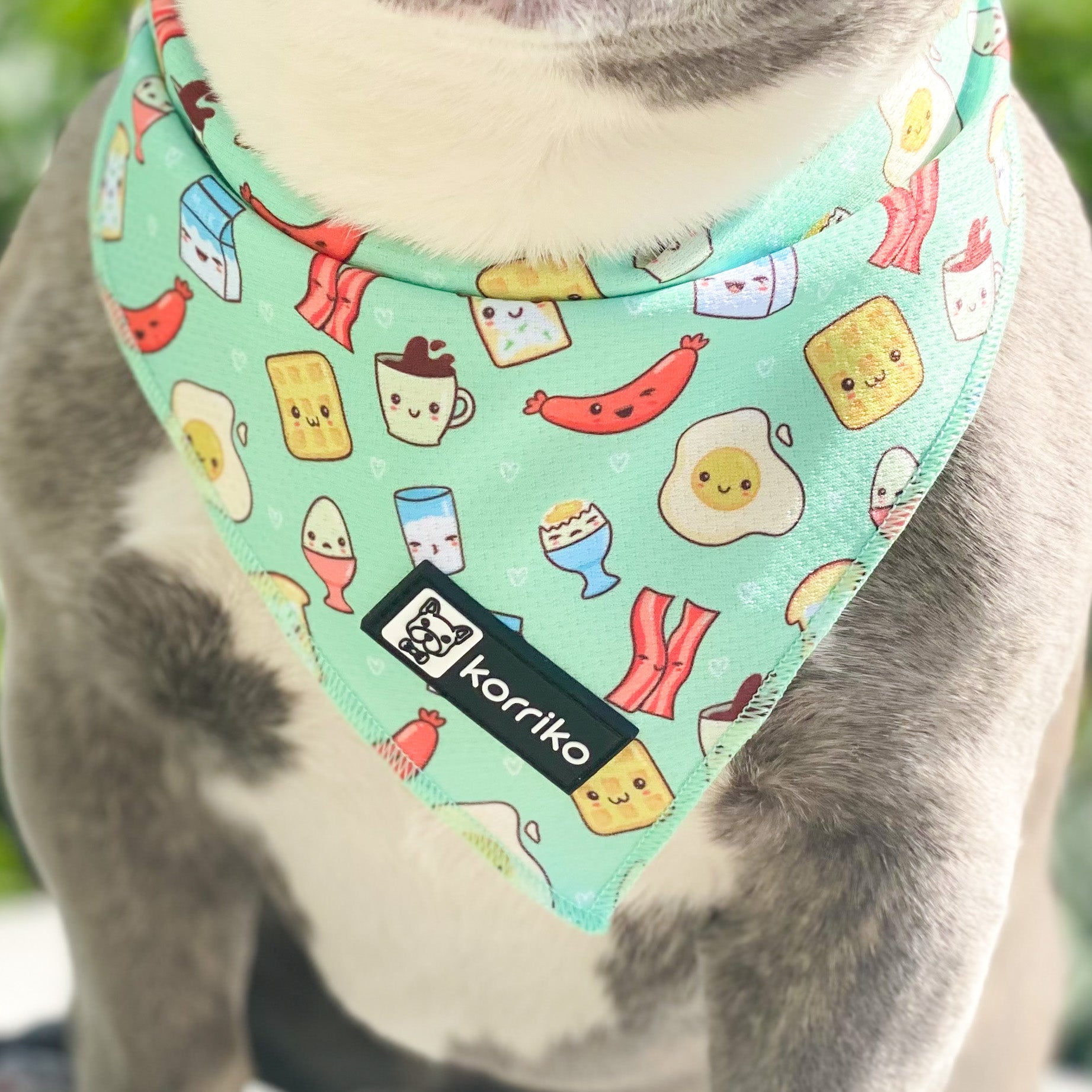 Cooling Dog Bandana - Thanks A Brunch (Final Sale)