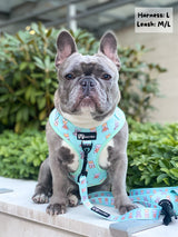 Ultimate Adjustable Harness Bundle Set - Dream Team (6-Piece) (Final Sale)