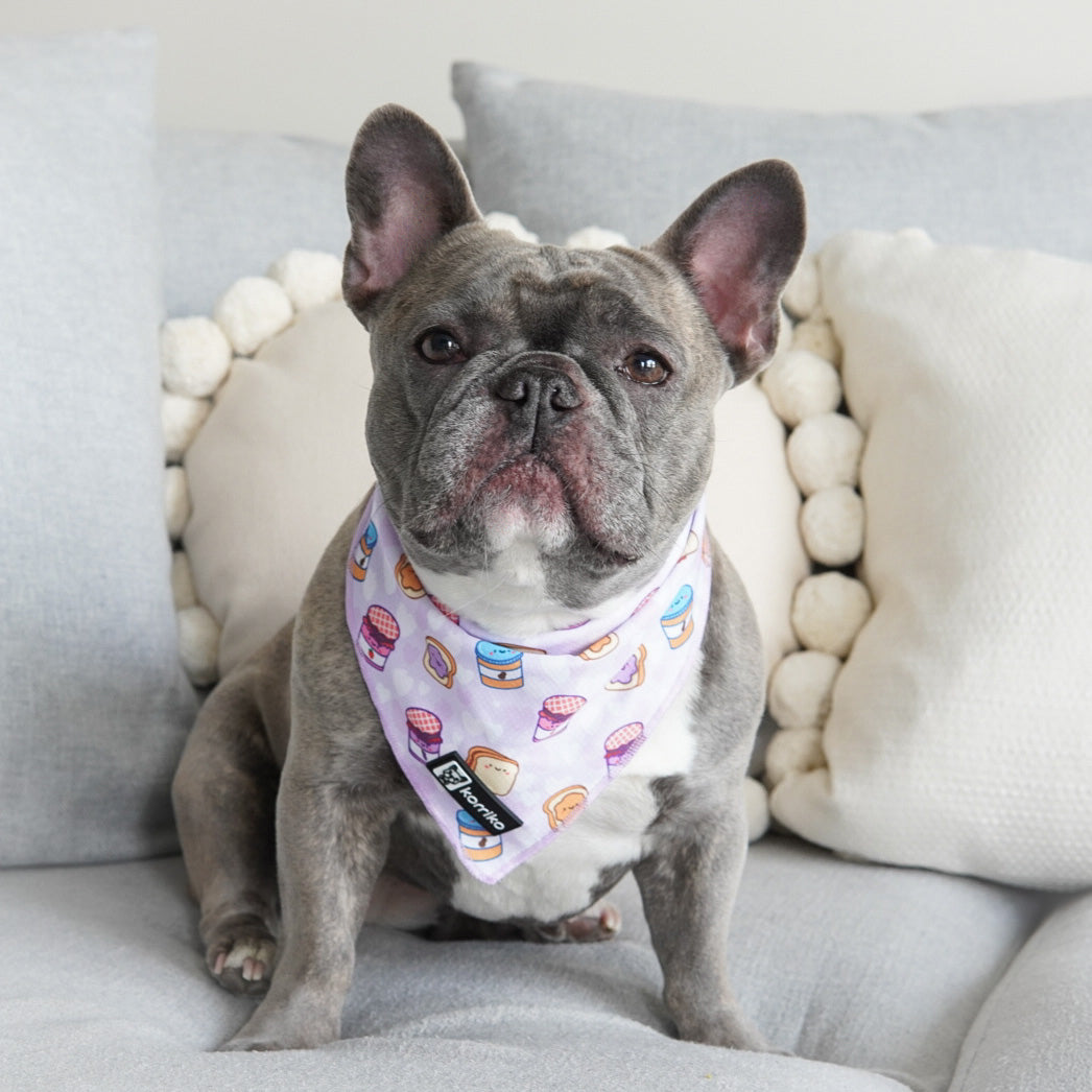 Cooling Dog Bandana - Peanut Butter Jelly (Final Sale)