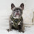 Classic No-Pull Dog Harness - Green Camo