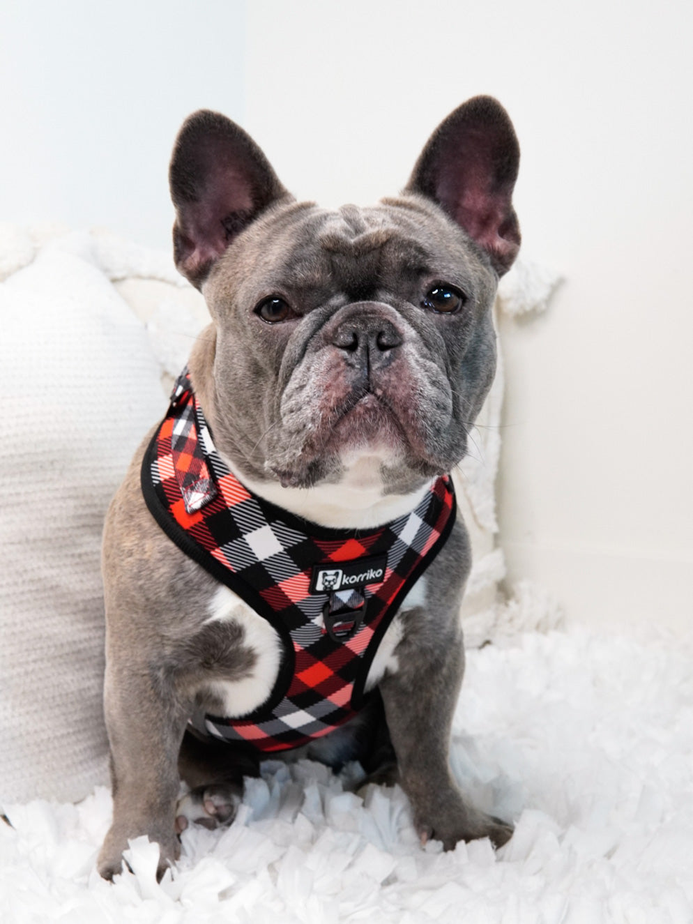 Adjustable Dog Harness - Red Plaid (SECONDS - FINAL SALE)